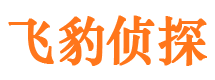 陵水找人公司